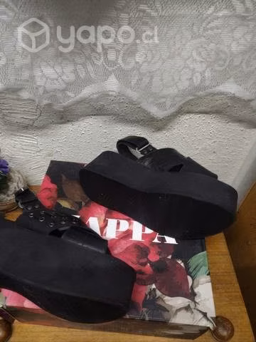 Chalas Zappa