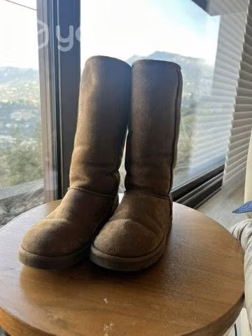 Botas Ugg Classic tall color chestnut