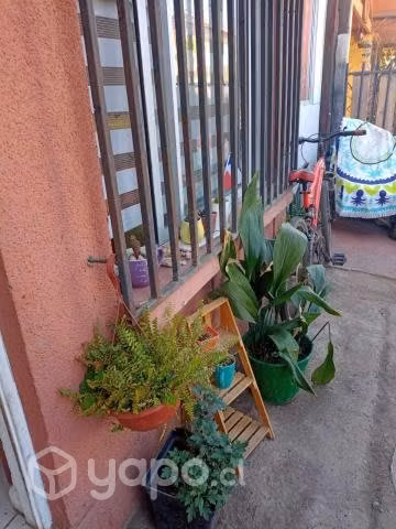 Casa en colina - Imagen 12