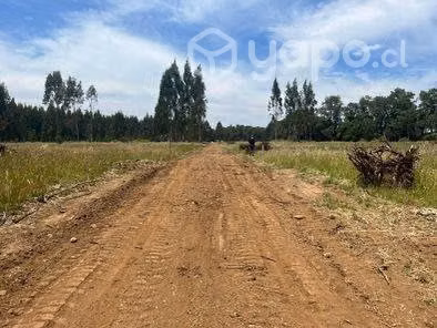 Se venden hermosas parcelas con acceso a río