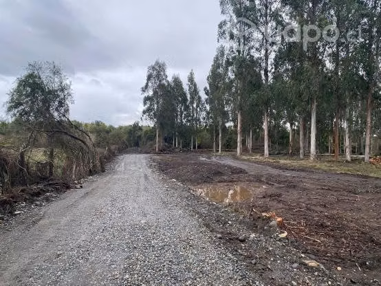 Se venden hermosas parcelas con acceso a río