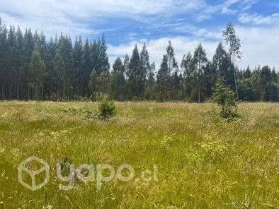 Se venden hermosas parcelas con acceso a río
