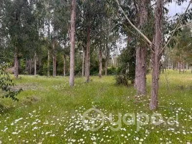 Se venden hermosas parcelas con acceso a río