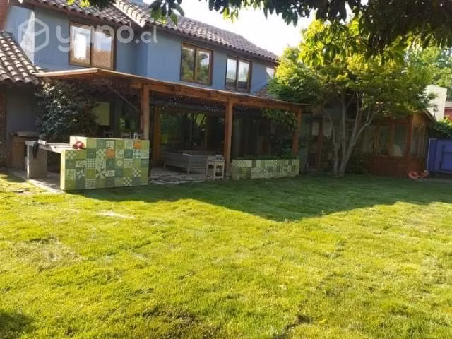 Pasto alfombra premium Natural, venta e instalació