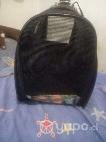 Bolso para mascota pequeña