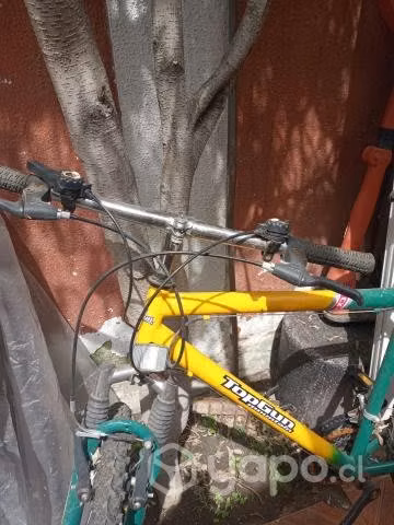 Bicicleta TOPGUN Mountain - Imagen 2
