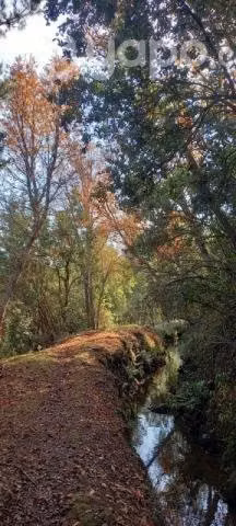 Terreno de 10hás en Rabones - Imagen 3