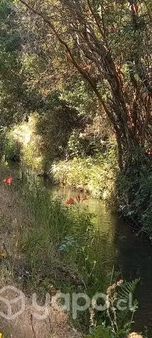 Terreno de 10hás en Rabones - Imagen 8