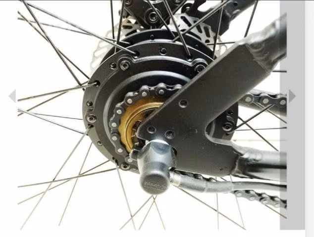 Bicicleta eléctrica