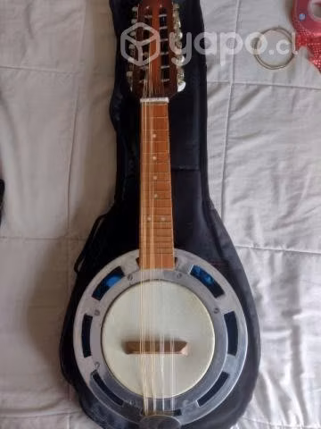 Banjo de 12 cuerdas