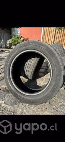 Neumáticos Hankook Óptimo 205/60/16