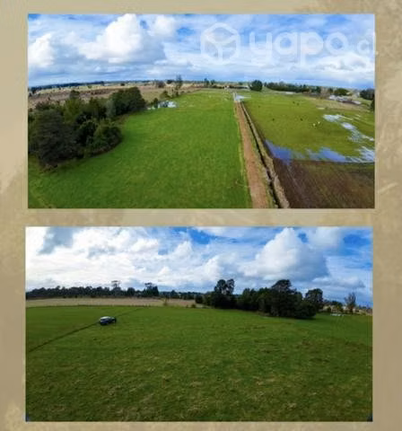 Parcela 5000 m2 los muermos - Imagen 2