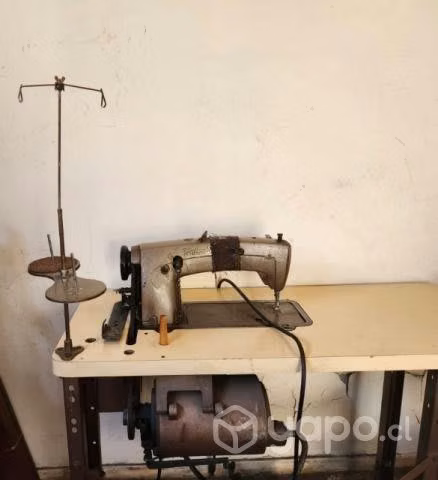 Máquina industrial costura recta Unión Special