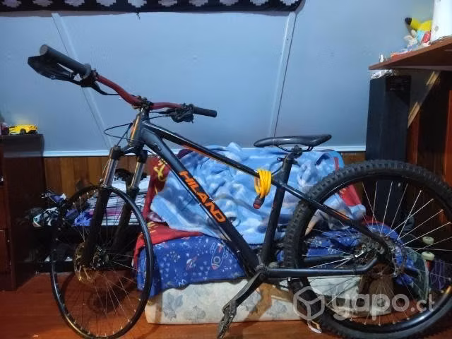 bicicleta
