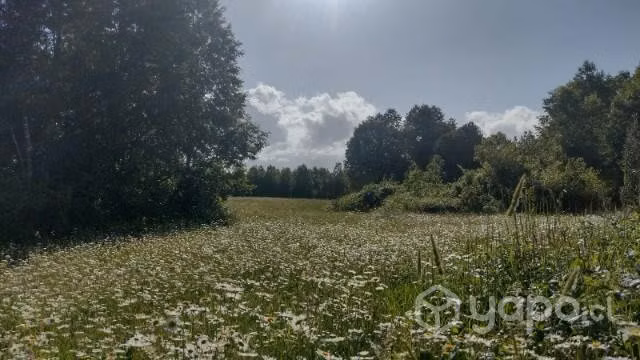 3 hectárea - Imagen 2