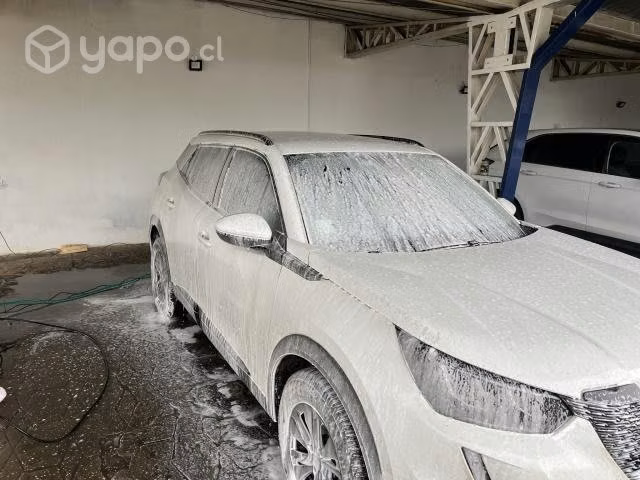 Lavado de Vehiculos