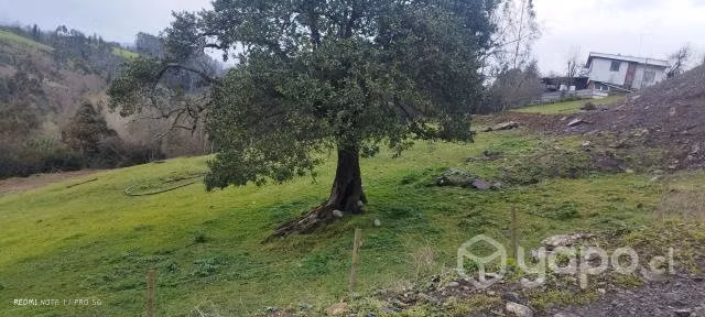 Sitio de 600 m2 aprox