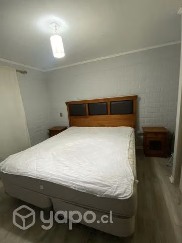 Cama kin