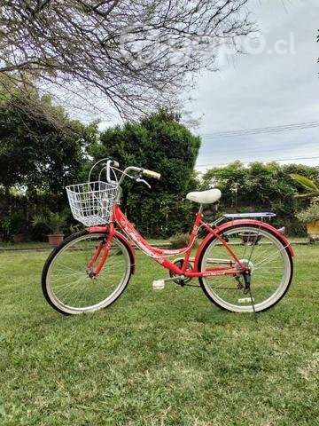 Bicicleta lahsen - Imagen 2