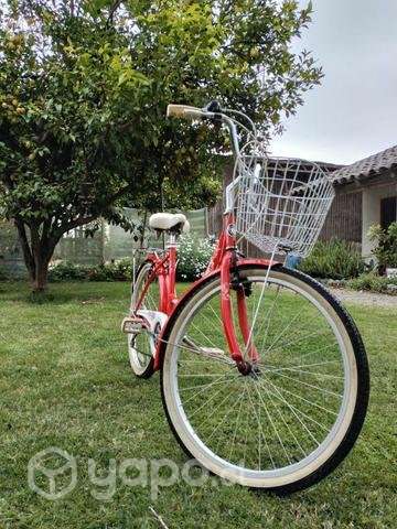 Bicicleta lahsen - Imagen 4