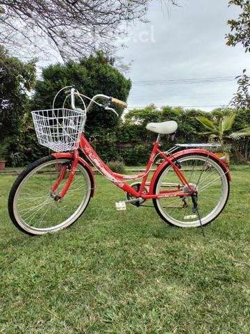 Bicicleta lahsen - Imagen 5