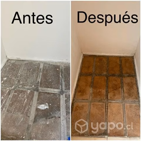 Limpieza Profunda