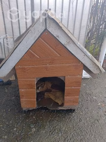 Casa de perro grande - Imagen 2