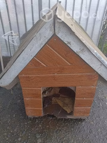 Casa de perro grande