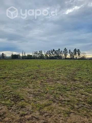 Nuevo Proyecto "Hacienda San Rafael" - Imagen 4