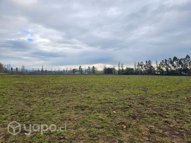 Nuevo Proyecto "Hacienda San Rafael" - Imagen 6
