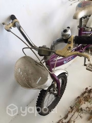 Bicicleta niña