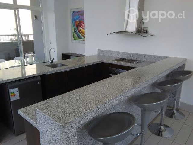 Hermosos departamento Metro Moneda