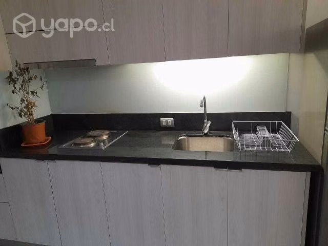 Hermosos departamento Metro Moneda