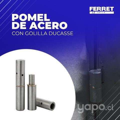 Pomel Ducasse