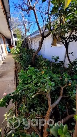 Pieza amoblada arriendo