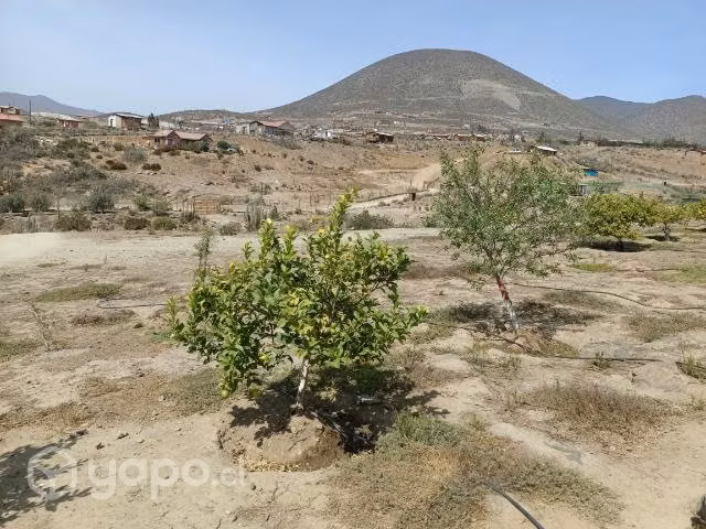 Hermosa parcela