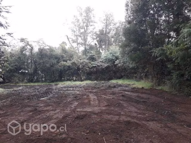 Sitio en coñaripe (no indígena)