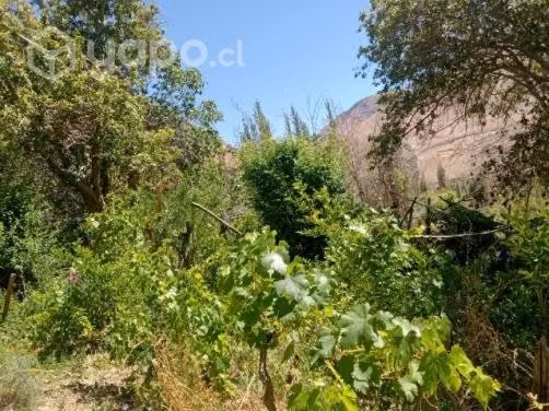 Hermoso terreno en Horcón - Imagen 4