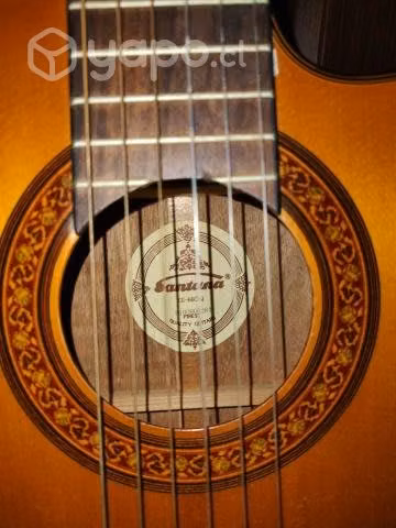 Guitarra Electro Acustica Santana