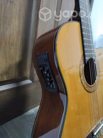 Guitarra Electro Acustica Santana