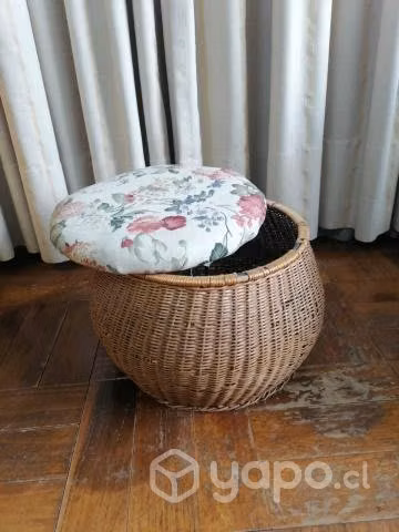 Pus de mimbre - Imagen 2