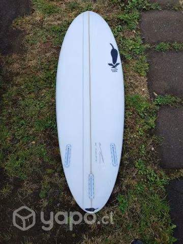 Tabla surf CHILLI Rarest Bird - Imagen 3