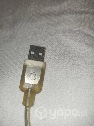 Apple Mouse Vintage