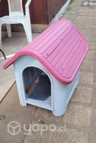 Casa Preciosa Perro Roja