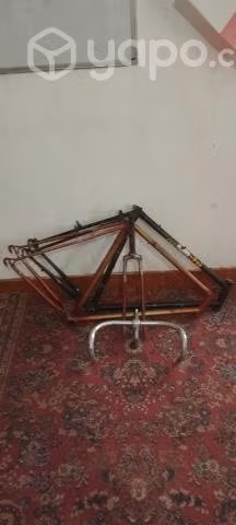 Cuadros de bicicleta clasicos