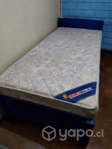 Cama