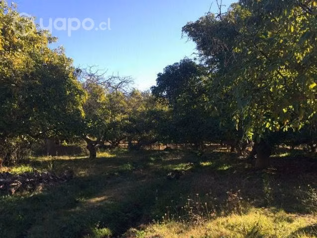 Terreno IV region ( 10000 metros cuadrados aprox )