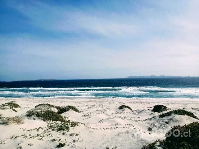 Parcelas En Caleta Chañaral, 5000m2,Vistas Al Mar