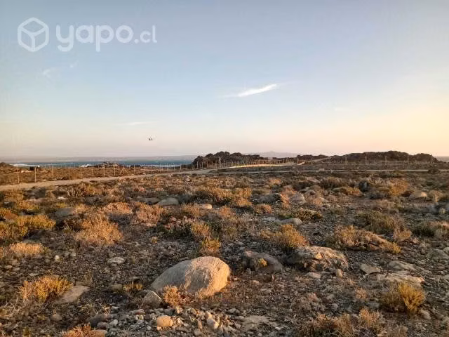Parcelas En Caleta Chañaral, 5000m2,Vistas Al Mar