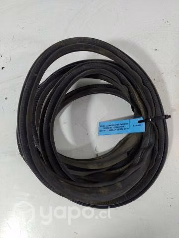 Goma Carroceria Pta tra izq (NP31017) Nissan NP300